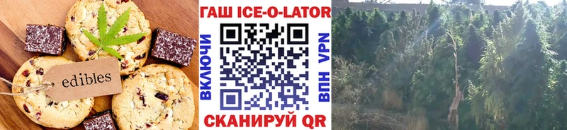 Canna-Cookies конопля mega онион Вышний Волочёк