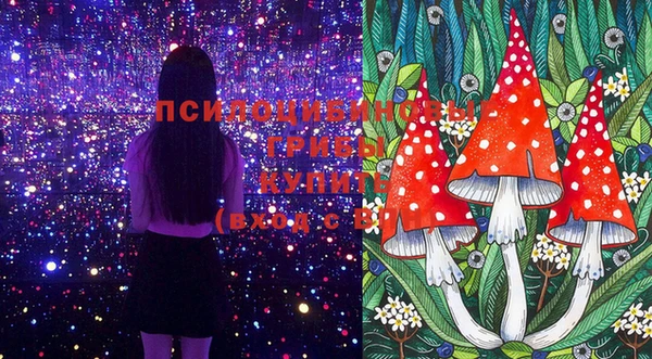 прущий лед Белокуриха