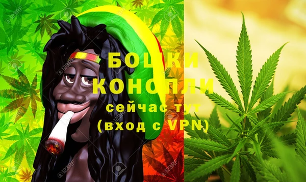 крисы Белоозёрский