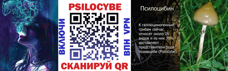 Галлюциногенные грибы мухоморы  купить наркотики цена  Вышний Волочёк 